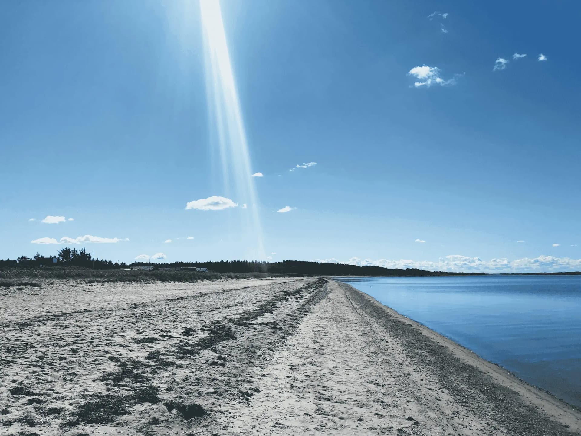 seashore