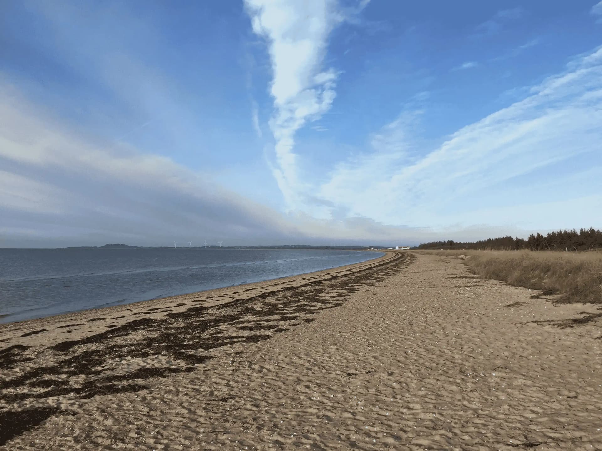 seashore